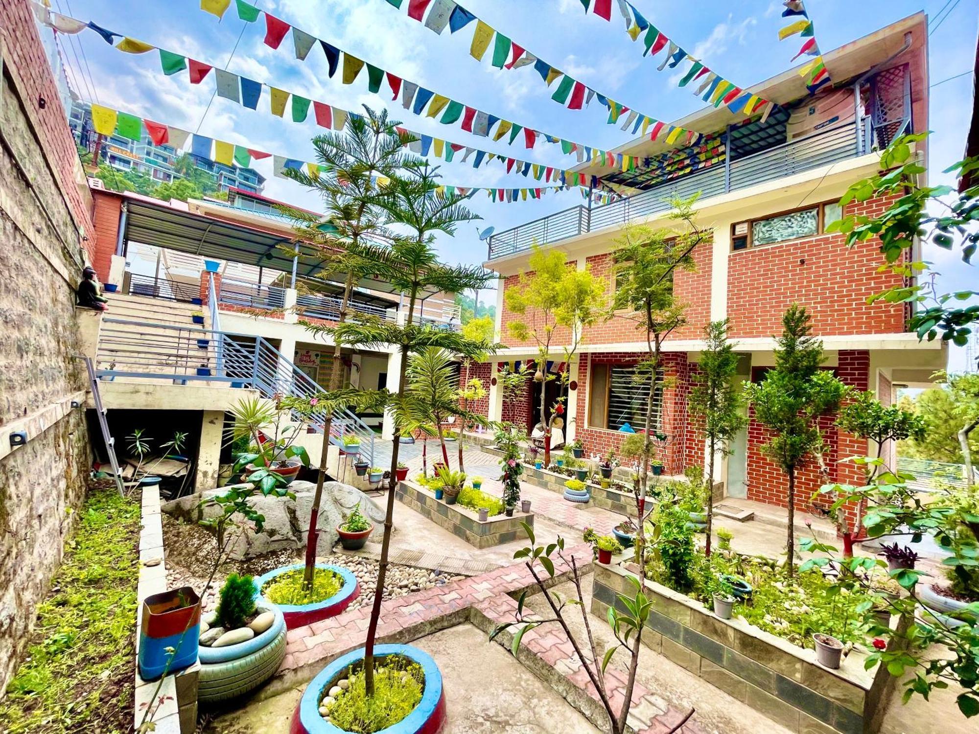 The Auriga 3Bhk Fully Entair Villa With Bonfire In Kasauli I Pvt Stay I Open Air Terrace I Kitchen Livingroom I Lawn Bonfire I Gaming Zone Exteriér fotografie